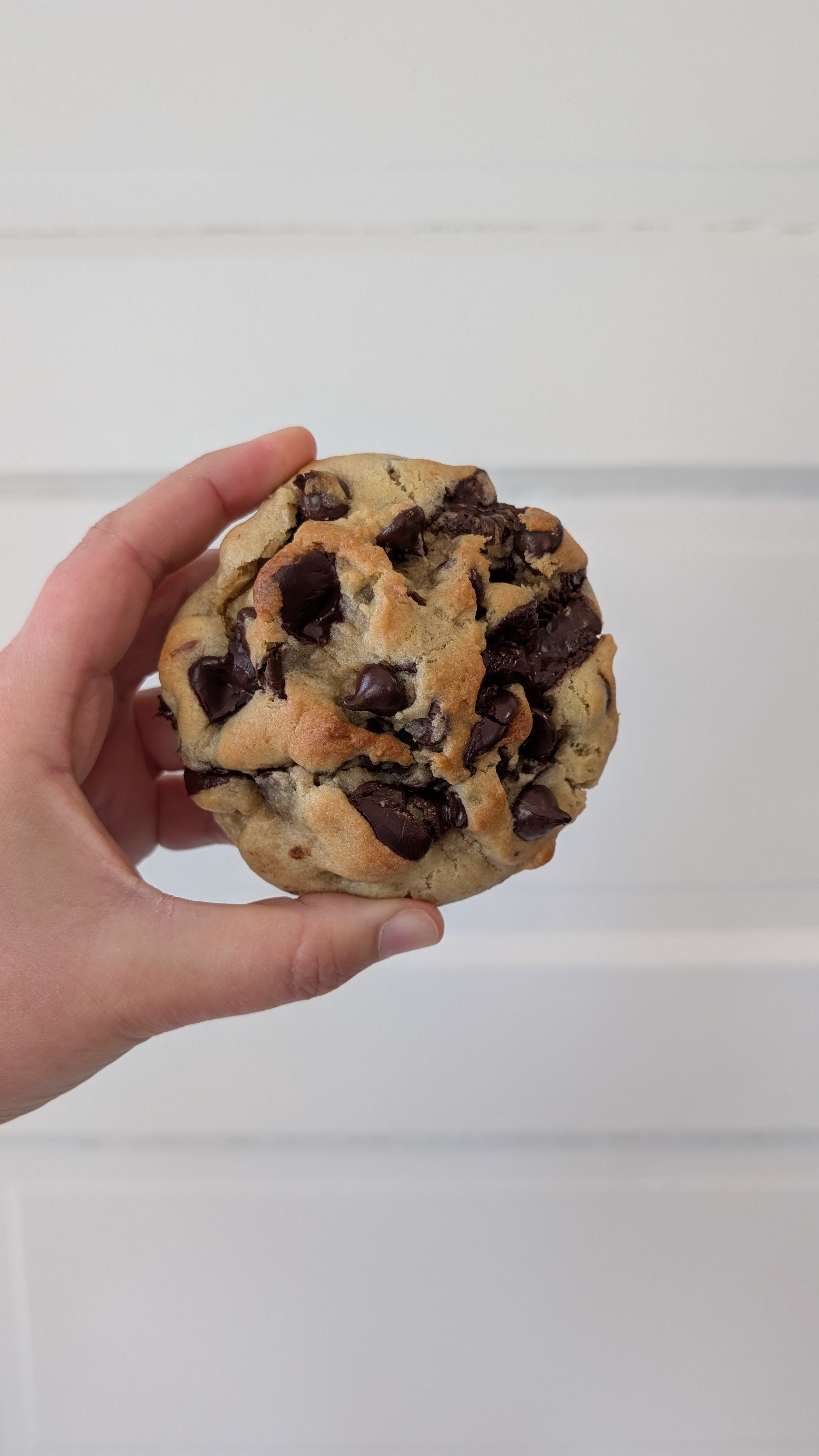 Double Chocolate Chip Cookie