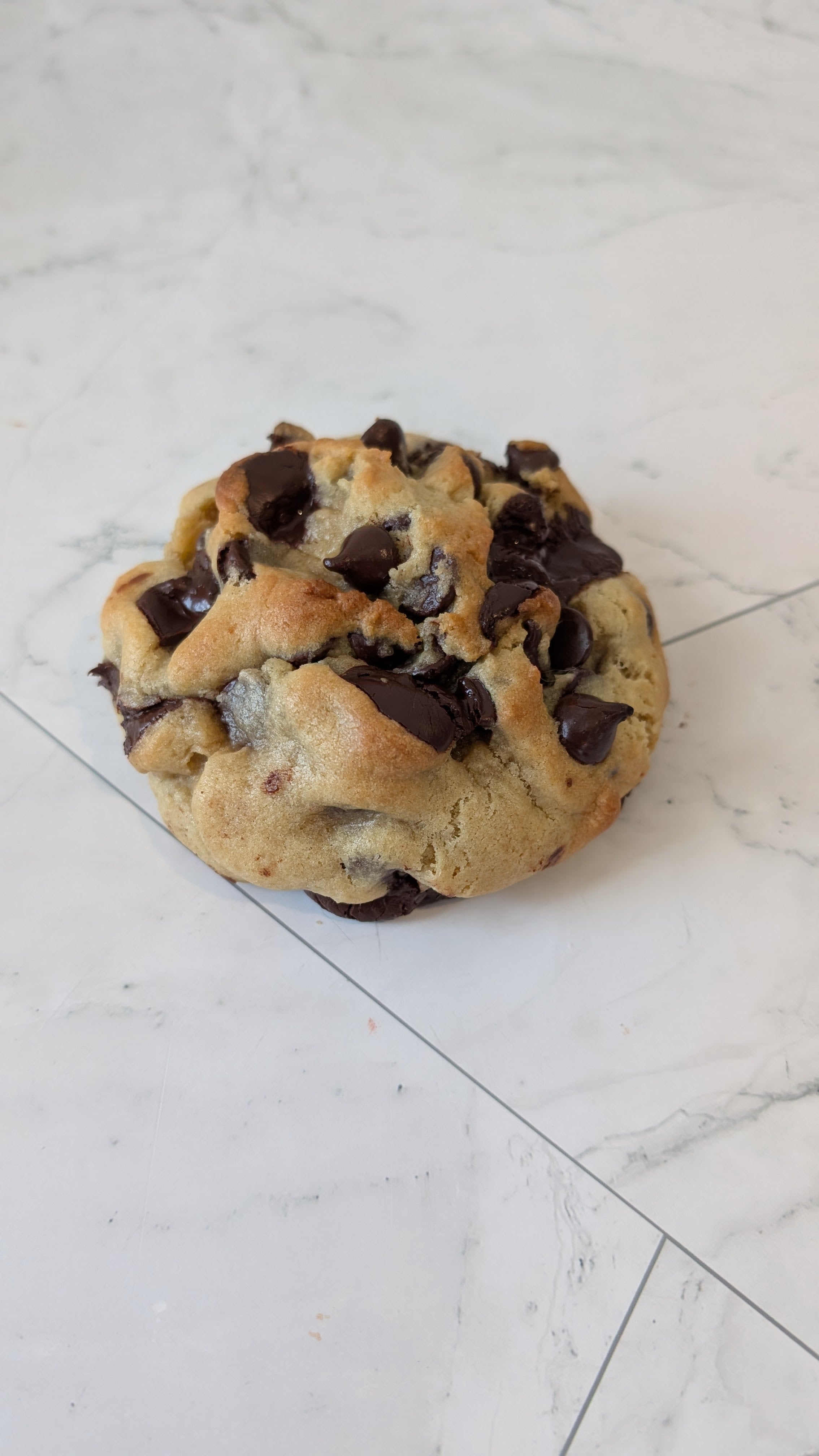 Double Chocolate Chip Cookie
