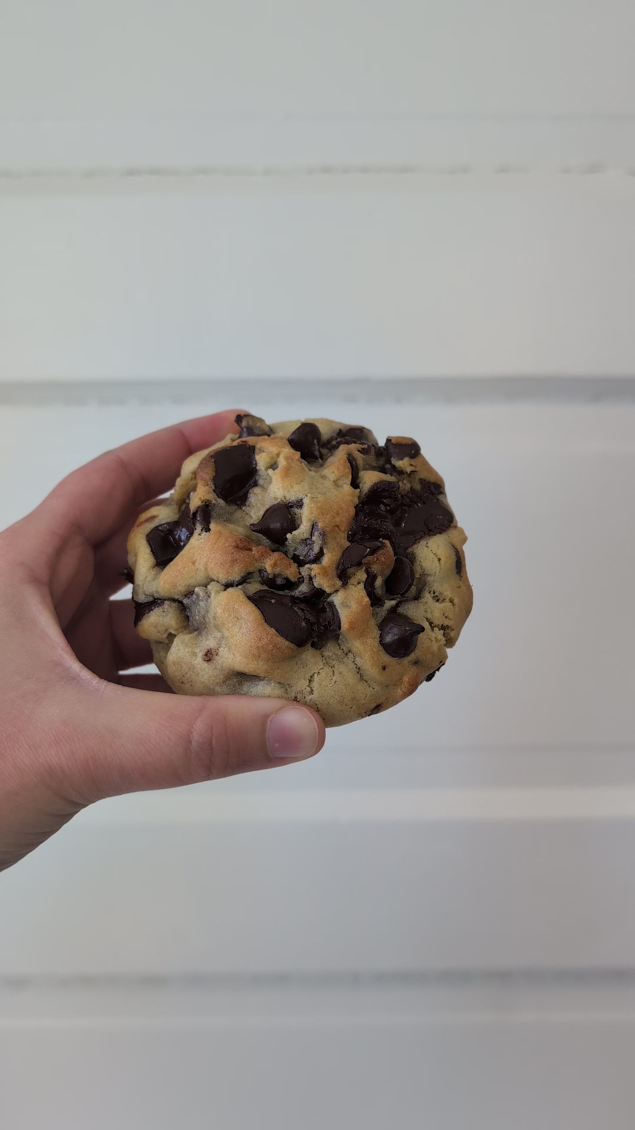 Double Chocolate Chip Cookie